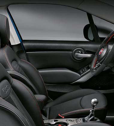 VINYL DOOR PANEL INESERTS AND ARMREST