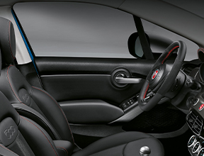 VINYL DOOR PANEL INESERTS AND ARMREST